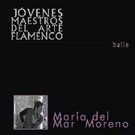 Young Masters of Flamenco Art - CD 17.308€ #50506TC14553