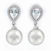 Silver Earrings with Zircons and a Pearl 31.075€ #500629101848