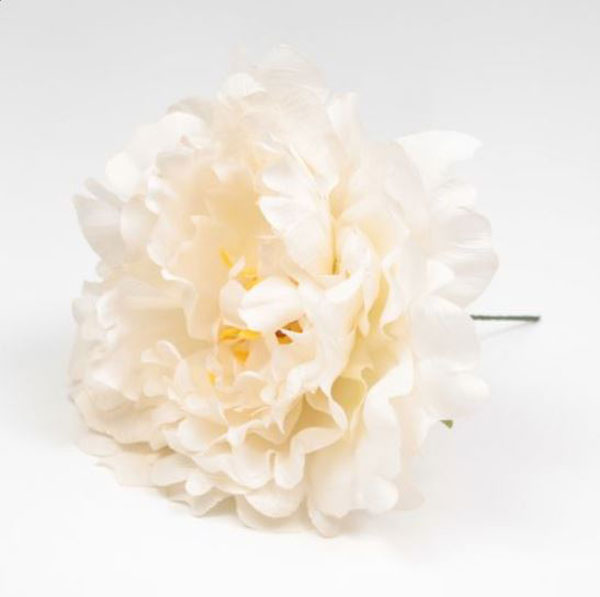 Peony Feria. Flamenco flowers. Vanilla. 11cm