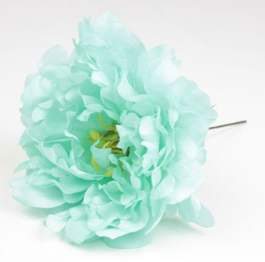 Pivoine Feria. Fleurs de Flamenco. Vert Era 27. 11cm