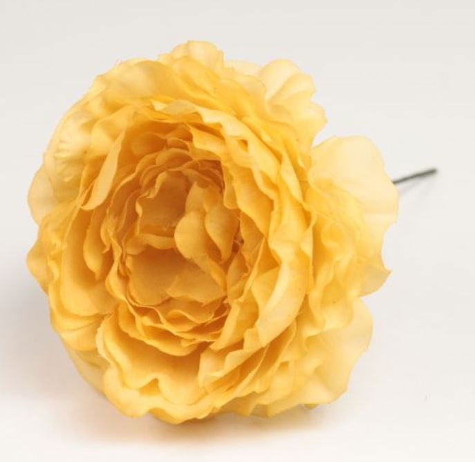 Flamenco Ranunculus flower Malaga. Yellow AM61. 9cm