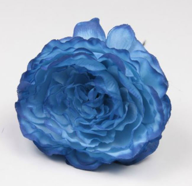 Flamenco Ranunculus flower Malaga. Blue. 9cm