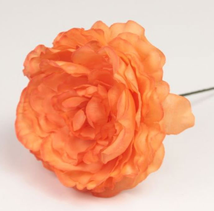 Flamenco Ranunculus flower Malaga. Orange. 9cm