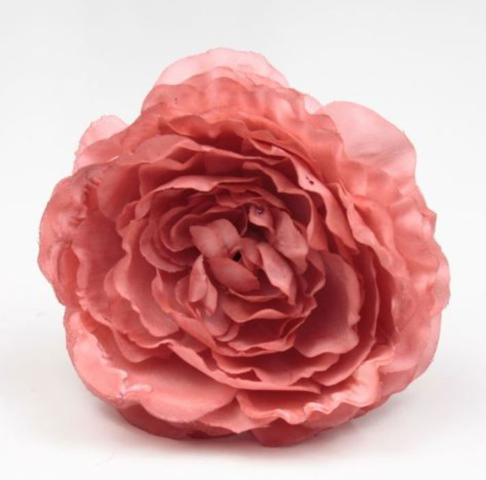 Flamenco Ranunculus flower Malaga. Russet TR53. 9cm