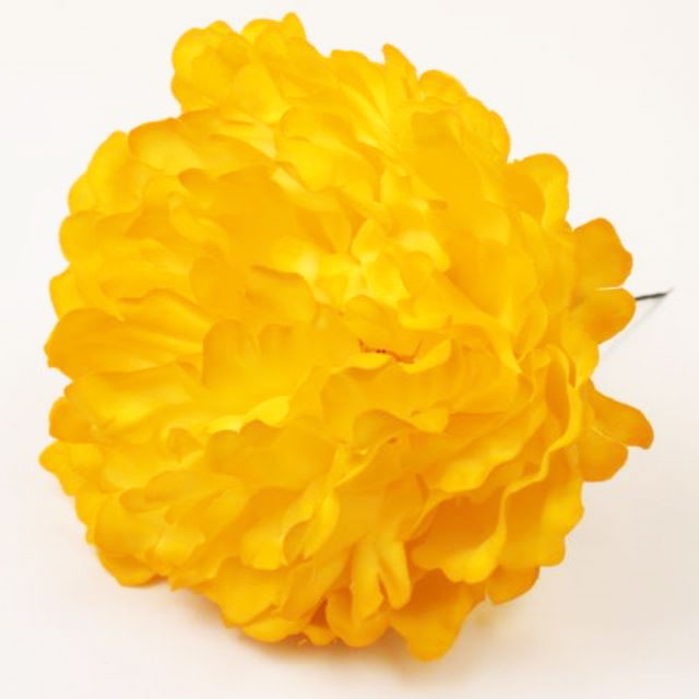 Large Yellow Peony Paris Flower. AM16.16cm
