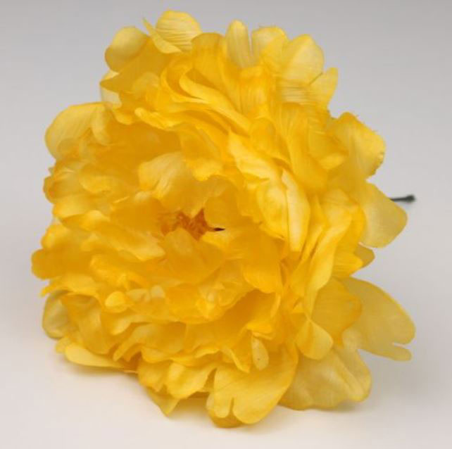 Pivoine Feria. Fleurs de Flamenco. Jaune. 11cm