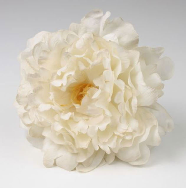 Pivoine Feria. Fleurs de Flamenco. Ivoire. 11cm