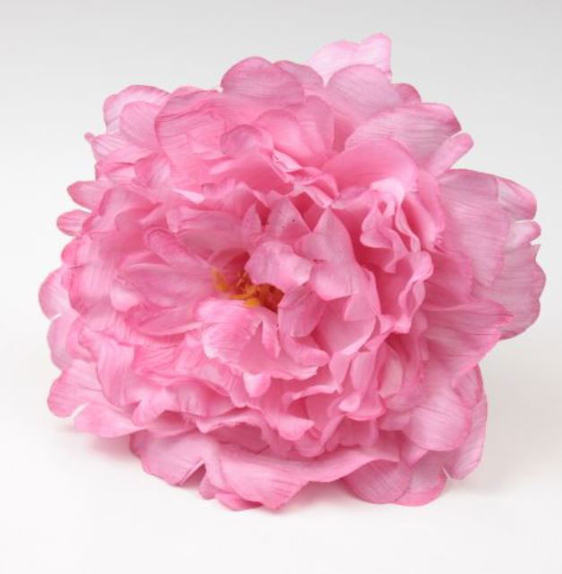 Pivoine Feria. Fleurs de Flamenco. Rose. 11cm