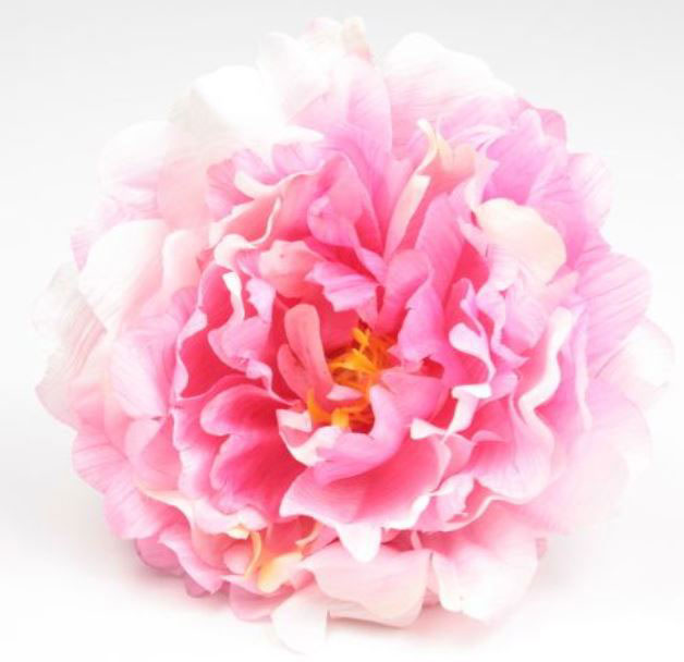 Pivoine Feria. Fleurs de Flamenco. Rose. 11cm