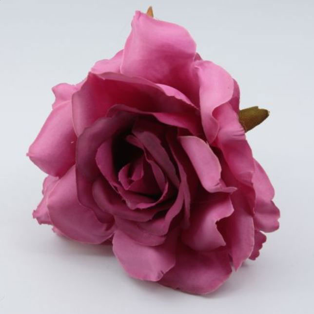 Small Rose Cadiz. 10cm. Bougainvillea 06