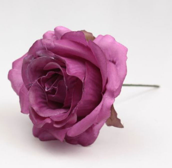 Mini Rosa Granada. Buganvilla MR36. 7cm
